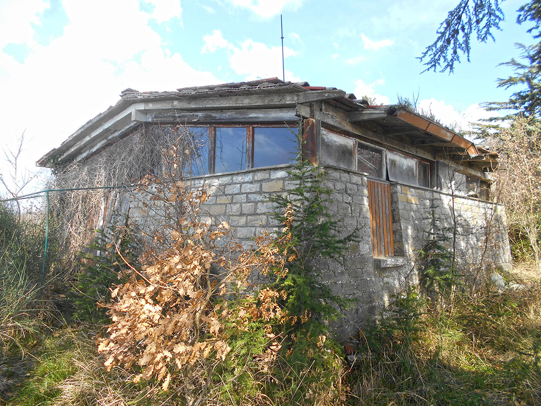 image Alt